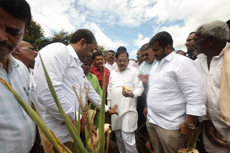 K’taka Dy CM visits drought-hit areas in Mysuru; says govt will decide relief for farmers after assessment K’taka Dy CM visits drought-hit areas in Mysuru; says govt will decide relief for farmers after assessment