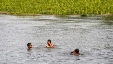 Two minor cousins found dead in water-filled pit in MP’s Damoh; probe underway