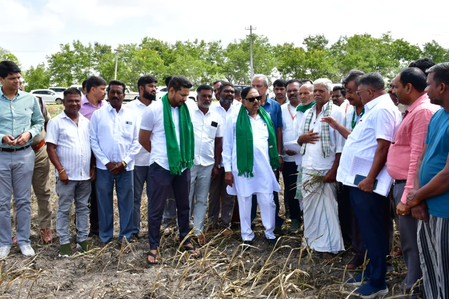 Drought hits Nanjangud: Karnataka Dy CM inspects damaged crops, farmers seek relief Drought hits Nanjangud: Karnataka Dy CM inspects damaged crops, farmers seek relief