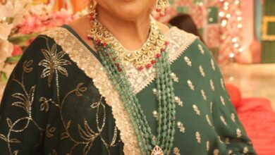 Gulfam Khan Hussain reveals she wants to enter ‘Bigg Boss’ in its ‘original form’