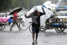 More rain likely in south Bengal, says weather department