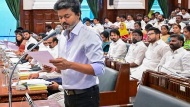 Tamil Nadu CM Vijay calls for life rooted in dharma, love, virtue on Krishna Jayanthi