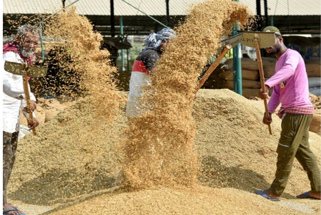 Tripura sends 18 MT of organic rice to Austria, Netherlands; farmer returns may rise 40 pc Tripura sends 18 MT of organic rice to Austria, Netherlands; farmer returns may rise 40 pc