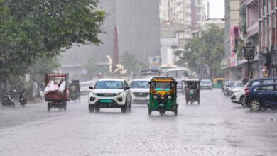 Rajasthan records 21 pc rainfall deficit, Gehlot urges early drought preparedness