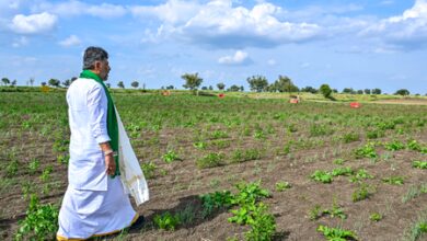 Karnataka faces drought, power crisis amid rising demand, says CM Shivakumar