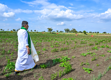 Karnataka faces drought, power crisis amid rising demand, says CM Shivakumar Karnataka faces drought, power crisis amid rising demand, says CM Shivakumar