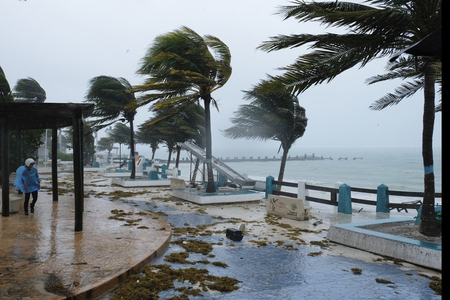 Hawaii under state of emergency as Hurricane Lowell strengthens Hawaii under state of emergency as Hurricane Lowell strengthens