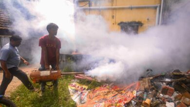 Dengue, swine flu cases surge in Tamil Nadu; doctors urge vigilance ahead of monsoon Dengue, swine flu cases surge in Tamil Nadu; doctors urge vigilance ahead of monsoon