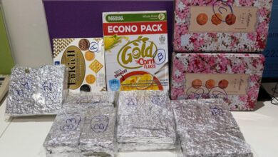 ‘Hidden in cookie boxes, corn flakes packet’: 5.5 kg hydroponic marijuana seized at Ahmedabad Airport ‘Hidden in cookie boxes, corn flakes packet’: 5.5 kg hydroponic marijuana seized at Ahmedabad Airport