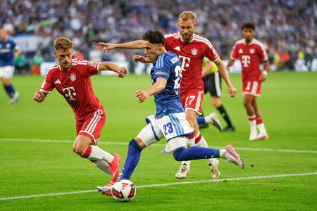 Karius heroics help Schalke hold Bayern to draw