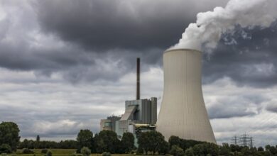 Adequate coal supplied to Punjab power plants: Centre
