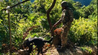 Army averts IED threat in Manipur; recovers 10-kg explosive device Army averts IED threat in Manipur; recovers 10-kg explosive device