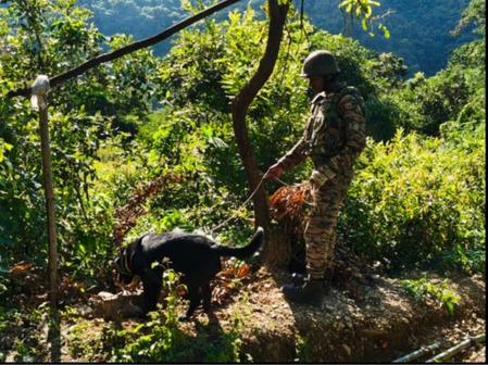Army averts IED threat in Manipur; recovers 10-kg explosive device Army averts IED threat in Manipur; recovers 10-kg explosive device