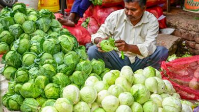 India’s top 50 districts drive 33 per cent of informal sector activity India’s top 50 districts drive 33 per cent of informal sector activity