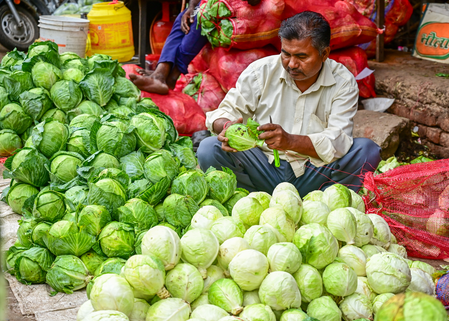 India’s top 50 districts drive 33 per cent of informal sector activity India’s top 50 districts drive 33 per cent of informal sector activity