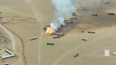 Houthis seize strategic Mayun Island in Bab al-Mandab Strait