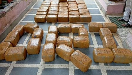 DRI seizes about 740 kg of cannabis in eight operations; 13 held