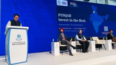 Punjab minister invites UAE investors with fast-track approvals Punjab minister invites UAE investors with fast-track approvals