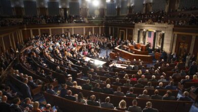 US birthright citizenship debate puts visa families in focus