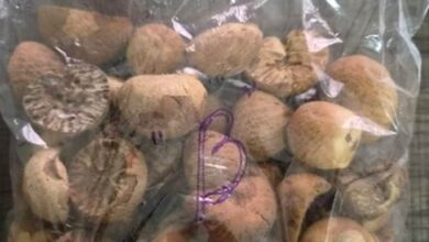 Sri Lanka’s betel exports slump amidst Pakistani tariffs Sri Lanka’s betel exports slump amidst Pakistani tariffs