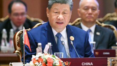 China and India are partners, not rivals: Xi Jinping