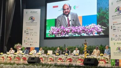 Need robust data, information systems for dryland agri-food systems: Experts Need robust data, information systems for dryland agri-food systems: Experts