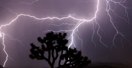 Two die of lightning as heavy rain lashes parts of Andhra Pradesh Two die of lightning as heavy rain lashes parts of Andhra Pradesh