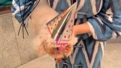 Twinkle Khanna celebrates pet dog Mr Jeeves’ birthday: ‘My pockets are empty, but my heart is full’