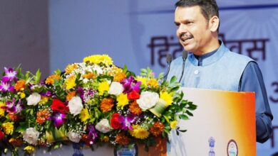 PM Modi speaking Hindi globally fills us with pride: CM Fadnavis