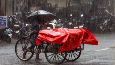 Heavy rain forecast for nine TN districts till September 20