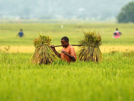 Regenerative agriculture builds momentum in India to boost resilience, restore soil health Regenerative agriculture builds momentum in India to boost resilience, restore soil health