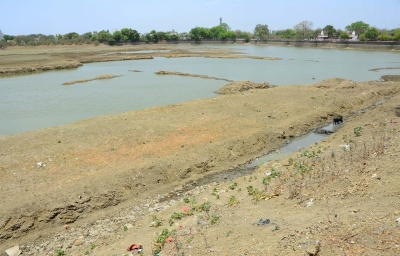 Maha faces severe dry spell as 83 talukas in 19 districts received no rain for over 20 days Maha faces severe dry spell as 83 talukas in 19 districts received no rain for over 20 days