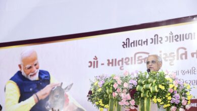 Gujarat CM urges citizens to light ‘Aashirwad no Divo’ at 7 pm on PM Modi’s birthday Gujarat CM urges citizens to light ‘Aashirwad no Divo’ at 7 pm on PM Modi’s birthday