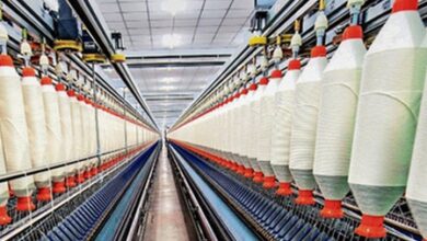 India’s textile exports rise 16.1 pc to Rs 29,776 crore in August