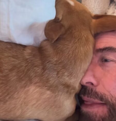 John Travolta’s dog Peanut celebrates bath time with adorable face licks John Travolta’s dog Peanut celebrates bath time with adorable face licks