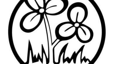 Both Trinamool factions submit their choices of new party name, symbol to Election Commission (Lead)