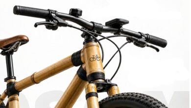 Assam govt launches bamboo bicycle initiative for green future Assam govt launches bamboo bicycle initiative for green future