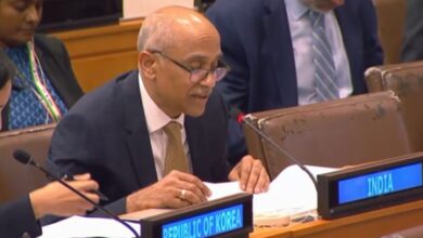 Shipping ‘must not become targets of geopolitical tensions’: India Shipping ‘must not become targets of geopolitical tensions’: India