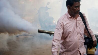 Dengue cases surge in Tamil Nadu with onset of monsoon