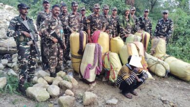 SSB seizes over 325 kg ganja in Arunachal Pradesh, one arrested SSB seizes over 325 kg ganja in Arunachal Pradesh, one arrested
