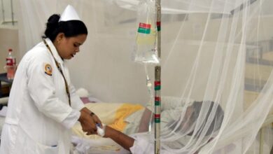 Bangladesh reports 87 dengue deaths in September, highest monthly toll this year