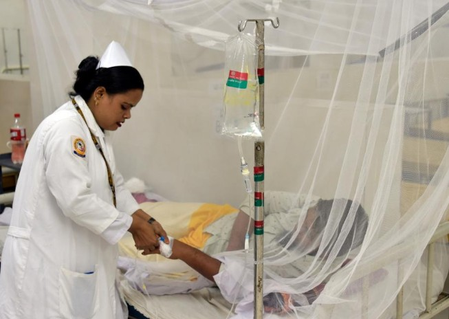 Bangladesh reports 87 dengue deaths in September, highest monthly toll this year Bangladesh reports 87 dengue deaths in September, highest monthly toll this year
