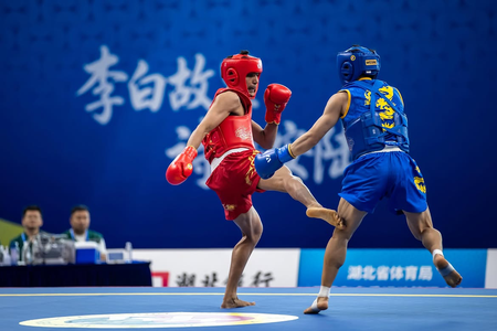 Asian Games: Aryan, Roshibina Devi march into quarterfinals after Wushu wins Asian Games: Aryan, Roshibina Devi march into quarterfinals after Wushu wins