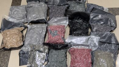 8.9 kg hydroponic marijuana seized at Ahmedabad airport, Mumbai man held 8.9 kg hydroponic marijuana seized at Ahmedabad airport, Mumbai man held