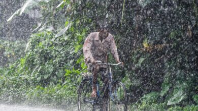 IMD issues heavy rain, thunderstorm alert for MP districts
