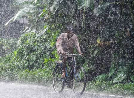 IMD issues heavy rain, thunderstorm alert for MP districts IMD issues heavy rain, thunderstorm alert for MP districts