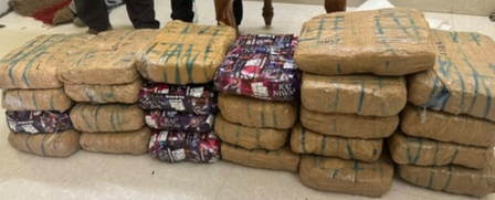 DRI seizes 845 kg contraband, arrests 15 accused in fortnight-long operation DRI seizes 845 kg contraband, arrests 15 accused in fortnight-long operation