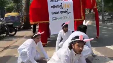 Elephants on the road, watch for rabbits: Ahmedabad civic body’s unique 30-second traffic skit on safety Elephants on the road, watch for rabbits: Ahmedabad civic body’s unique 30-second traffic skit on safety