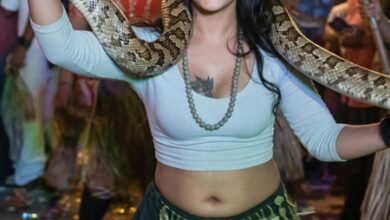 Python used for dance during Ganesh immersion in Hyderabad rescued Python used for dance during Ganesh immersion in Hyderabad rescued