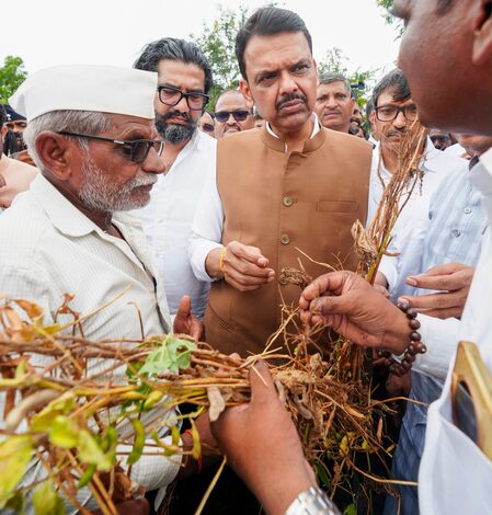 Maha CM orders urgent crop damage assessment Maha CM orders urgent crop damage assessment